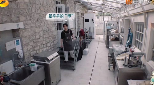 《中餐廳8》爭(zhēng)議升級(jí) 林述巍被鎖冷庫(kù)，導(dǎo)演做法引眾怒