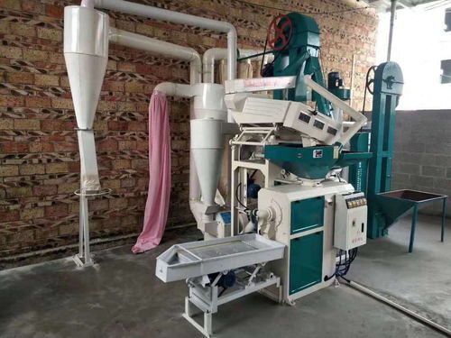 新型組合碾米機(jī) 小空間大作為，平穩(wěn)運(yùn)行鑄就精品